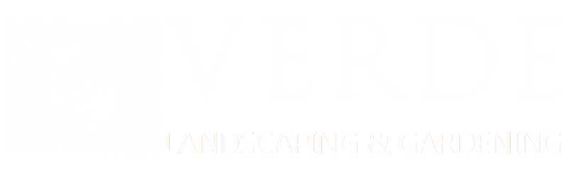 light logo